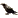 سوء الحظ