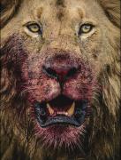 الصورة الشخصية